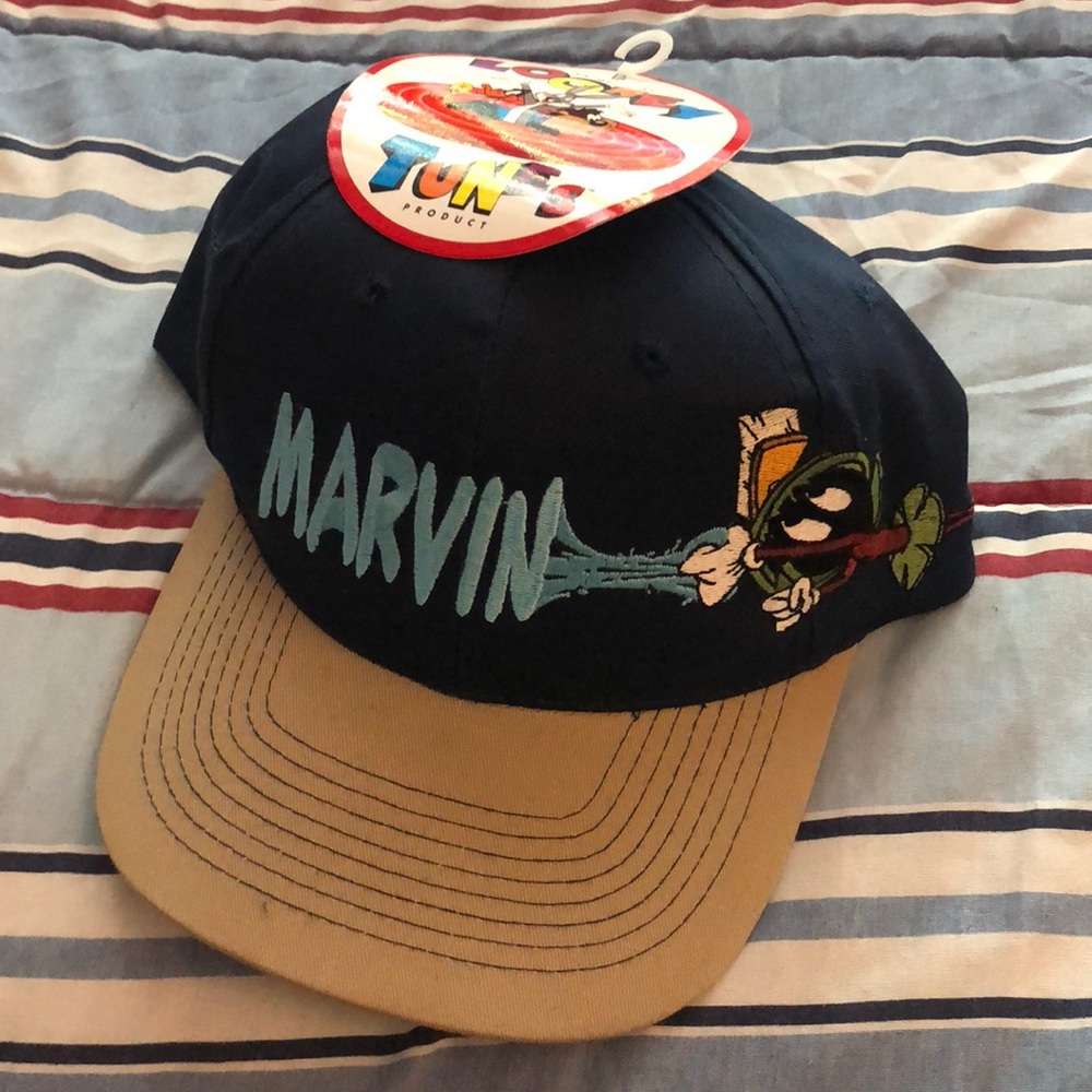 VINTAGE LOONEY TOONES SNAPBACK